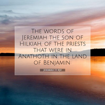 Picture 07 - Jeremiah 1:1 KJV - The words of Jeremiah the son of Hilkiah, of the - Bible Verse Picture