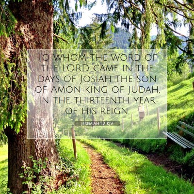 Picture 07 - Jeremiah 1:2 KJV - To whom the word of the LORD came in the days of - Bible Verse Picture