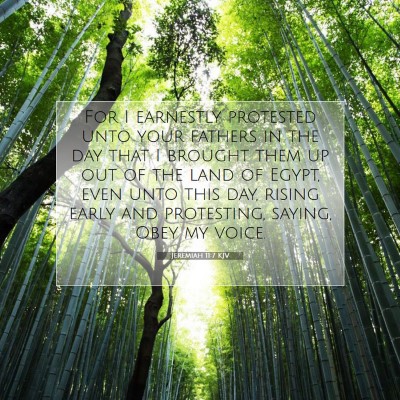 Picture 07 - Jeremiah 11:7 KJV - For I earnestly protested unto your fathers in - Bible Verse Picture