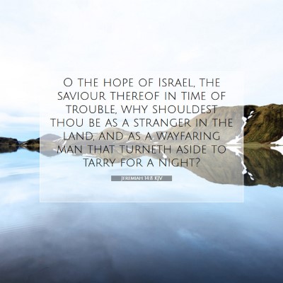 Picture 07 - Jeremiah 14:8 KJV - O the hope of Israel, the saviour thereof in time - Bible Verse Picture
