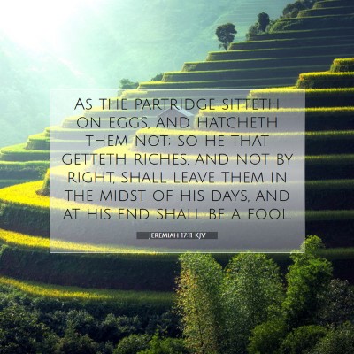 Picture 07 - Jeremiah 17:11 KJV - As the partridge sitteth on eggs, and hatcheth - Bible Verse Picture