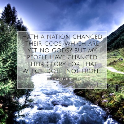 Picture 07 - Jeremiah 2:11 KJV - Hath a nation changed their gods, which are yet - Bible Verse Picture