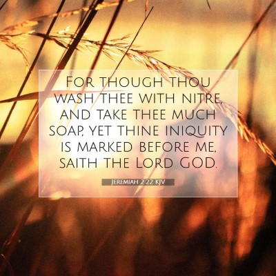 Picture 07 - Jeremiah 2:22 KJV - For though thou wash thee with nitre, and take - Bible Verse Picture