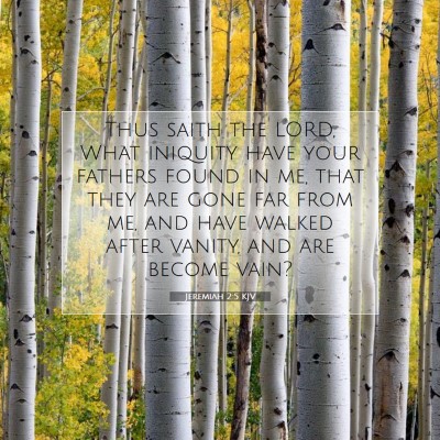 Picture 07 - Jeremiah 2:5 KJV - Thus saith the LORD, What iniquity have your - Bible Verse Picture