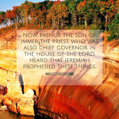 Picture 07 - Jeremiah 20:1 KJV - Now Pashur the son of Immer the priest, who was - Bible Verse Picture