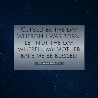 Picture 07 - Jeremiah 20:14 KJV - Cursed be the day wherein I was born: let not the - Bible Verse Picture