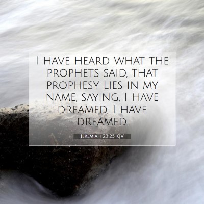 Picture 07 - Jeremiah 23:25 KJV - I have heard what the prophets said, that - Bible Verse Picture