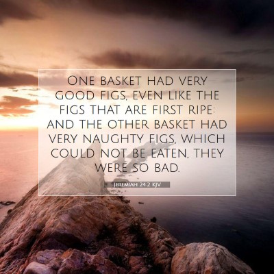 Picture 07 - Jeremiah 24:2 KJV - One basket had very good figs, even like the figs - Bible Verse Picture