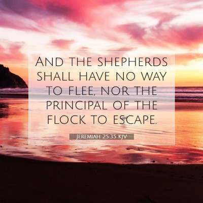 Picture 07 - Jeremiah 25:35 KJV - And the shepherds shall have no way to flee, nor - Bible Verse Picture