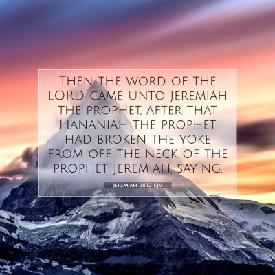 Picture 07 - Jeremiah 28:12 KJV - Then the word of the LORD came unto Jeremiah the - Bible Verse Picture