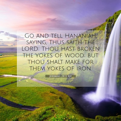 Picture 07 - Jeremiah 28:13 KJV - Go and tell Hananiah, saying, Thus saith the - Bible Verse Picture