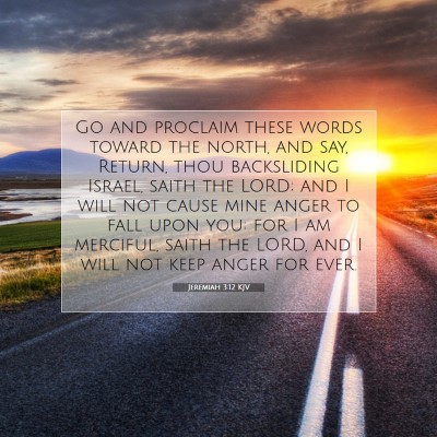 Picture 07 - Jeremiah 3:12 KJV - Go and proclaim these words toward the north, and - Bible Verse Picture