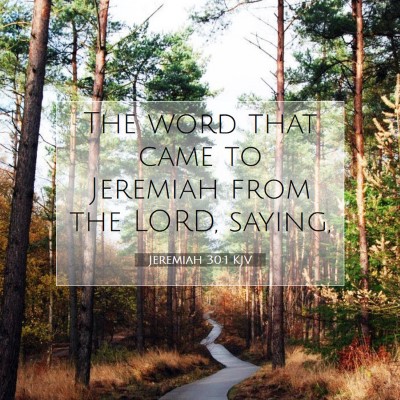 Picture 07 - Jeremiah 30:1 KJV - The word that came to Jeremiah from the LORD, - Bible Verse Picture
