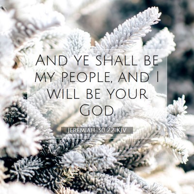 Picture 07 - Jeremiah 30:22 KJV - And ye shall be my people, and I will be your - Bible Verse Picture