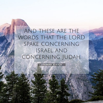 Picture 07 - Jeremiah 30:4 KJV - And these are the words that the LORD spake - Bible Verse Picture