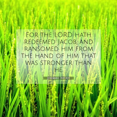 Picture 07 - Jeremiah 31:11 KJV - For the LORD hath redeemed Jacob, and ransomed - Bible Verse Picture