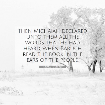 Picture 07 - Jeremiah 36:13 KJV - Then Michaiah declared unto them all the words - Bible Verse Picture