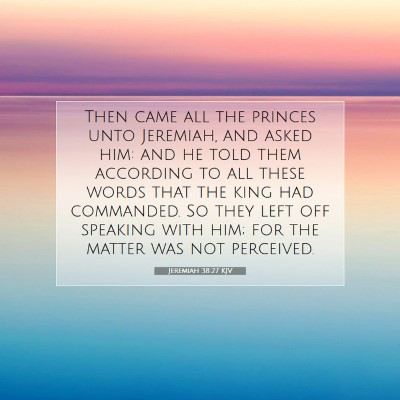 Picture 07 - Jeremiah 38:27 KJV - Then came all the princes unto Jeremiah, and - Bible Verse Picture