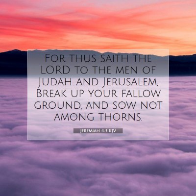 Picture 07 - Jeremiah 4:3 KJV - For thus saith the LORD to the men of Judah and - Bible Verse Picture