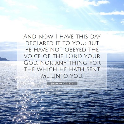 Picture 07 - Jeremiah 42:21 KJV - And now I have this day declared it to you; but - Bible Verse Picture