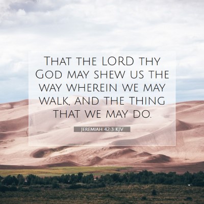 Picture 07 - Jeremiah 42:3 KJV - That the LORD thy God may shew us the way wherein - Bible Verse Picture
