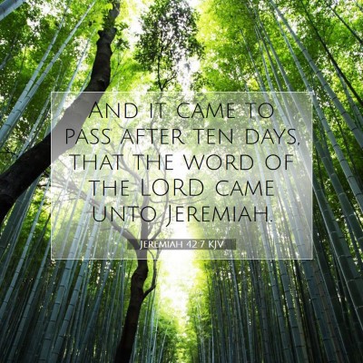 Picture 07 - Jeremiah 42:7 KJV - And it came to pass after ten days, that the word - Bible Verse Picture