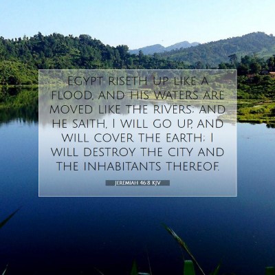 Picture 07 - Jeremiah 46:8 KJV - Egypt riseth up like a flood, and his waters are - Bible Verse Picture