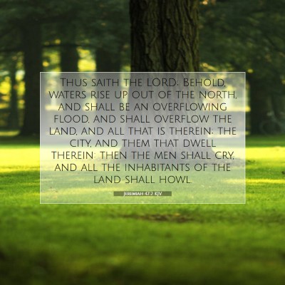 Picture 07 - Jeremiah 47:2 KJV - Thus saith the LORD; Behold, waters rise up out - Bible Verse Picture