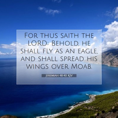 Picture 07 - Jeremiah 48:40 KJV - For thus saith the LORD; Behold, he shall fly as - Bible Verse Picture
