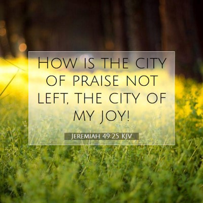 Picture 07 - Jeremiah 49:25 KJV - How is the city of praise not left, the city of - Bible Verse Picture