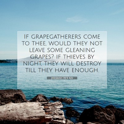 Picture 07 - Jeremiah 49:9 KJV - If grapegatherers come to thee, would they not - Bible Verse Picture