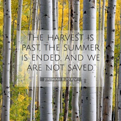 Picture 07 - Jeremiah 8:20 KJV - The harvest is past, the summer is ended, and we - Bible Verse Picture