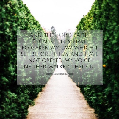 Picture 07 - Jeremiah 9:13 KJV - And the LORD saith, Because they have forsaken my - Bible Verse Picture