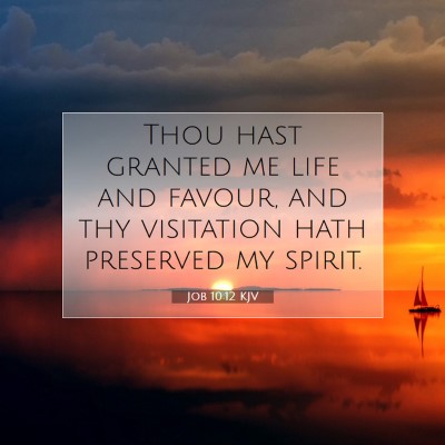 Picture 07 - Job 10:12 KJV - Thou hast granted me life and favour, and thy - Bible Verse Picture