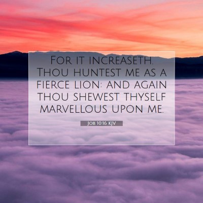 Picture 07 - Job 10:16 KJV - For it increaseth. Thou huntest me as a fierce - Bible Verse Picture