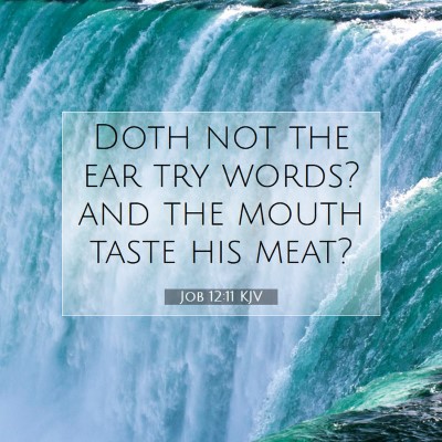 Picture 07 - Job 12:11 KJV - Doth not the ear try words? and the mouth taste - Bible Verse Picture