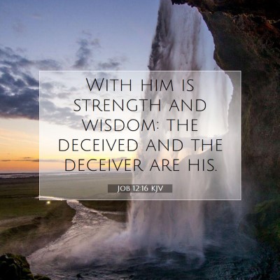 Picture 07 - Job 12:16 KJV - With him is strength and wisdom: the deceived and - Bible Verse Picture