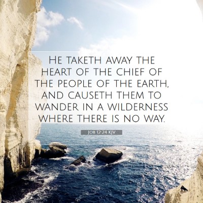 Picture 07 - Job 12:24 KJV - He taketh away the heart of the chief of the - Bible Verse Picture
