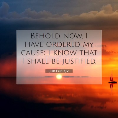 Picture 07 - Job 13:18 KJV - Behold now, I have ordered my cause; I know that - Bible Verse Picture