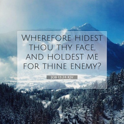Picture 07 - Job 13:24 KJV - Wherefore hidest thou thy face, and holdest me - Bible Verse Picture