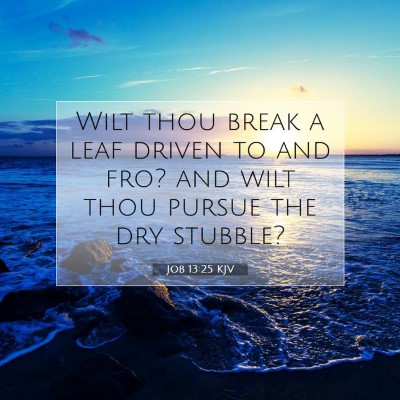 Picture 07 - Job 13:25 KJV - Wilt thou break a leaf driven to and fro? and - Bible Verse Picture