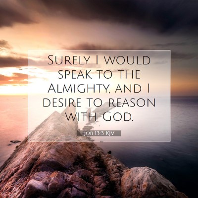 Picture 07 - Job 13:3 KJV - Surely I would speak to the Almighty, and I - Bible Verse Picture