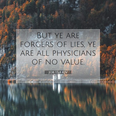 Picture 07 - Job 13:4 KJV - But ye are forgers of lies, ye are all physicians - Bible Verse Picture
