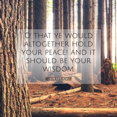 Picture 07 - Job 13:5 KJV - O that ye would altogether hold your peace! and - Bible Verse Picture