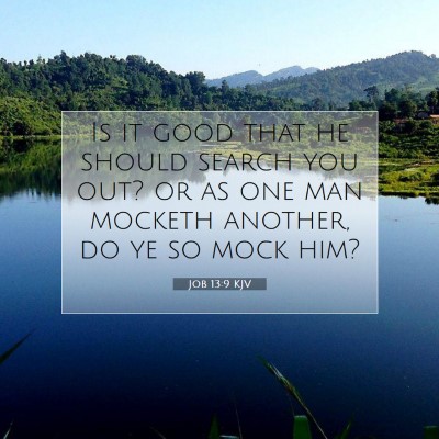 Picture 07 - Job 13:9 KJV - Is it good that he should search you out? or as - Bible Verse Picture