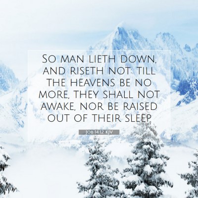 Picture 07 - Job 14:12 KJV - So man lieth down, and riseth not: till the - Bible Verse Picture