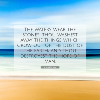 Picture 07 - Job 14:19 KJV - The waters wear the stones: thou washest away the - Bible Verse Picture