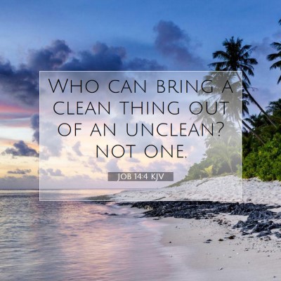 Picture 07 - Job 14:4 KJV - Who can bring a clean thing out of an unclean? - Bible Verse Picture