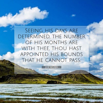 Picture 07 - Job 14:5 KJV - Seeing his days are determined, the number of his - Bible Verse Picture