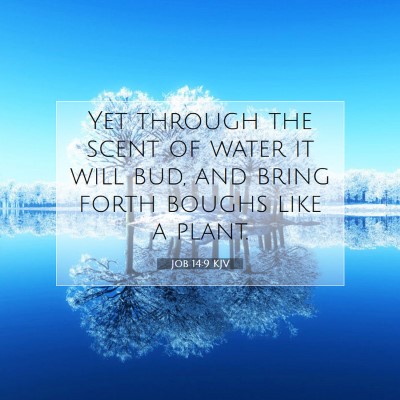 Picture 07 - Job 14:9 KJV - Yet through the scent of water it will bud, and - Bible Verse Picture